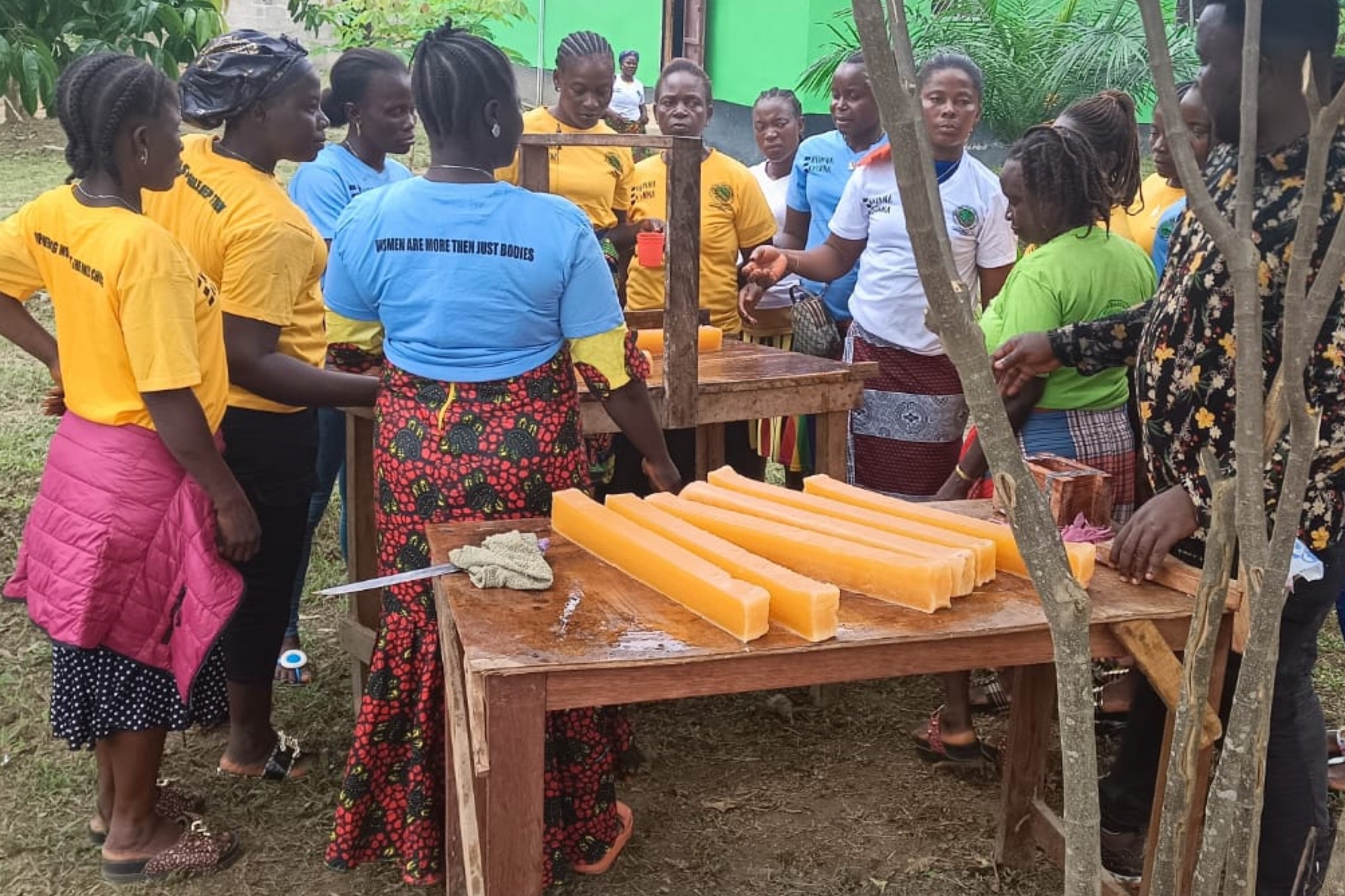 Young Adult Woman Making Business Presentation